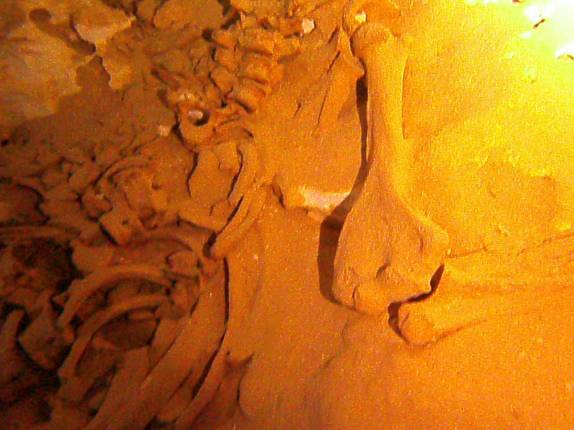 Ossos de preguiça gigante em caverna lateral do Cenote The Pit, em Tulum, no Yucatán, sul do México